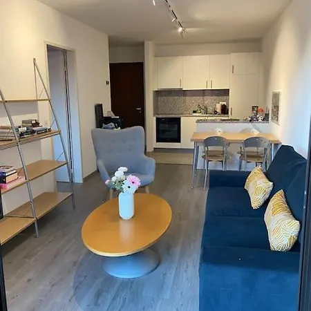 Ascona: Residenza Sabrina,app 2.5 Locali E Piscina Apartment Ascona